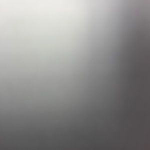 Meet your Posher, Ricky